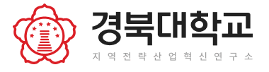 경북대학교 지역전략산업혁신연구소